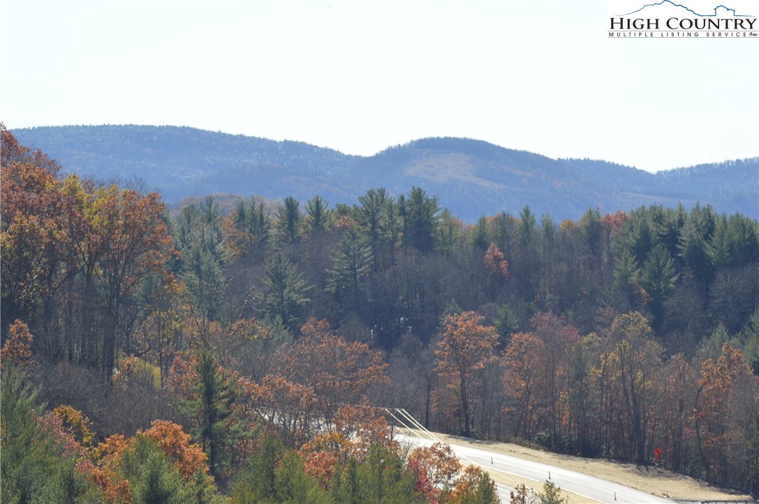 Savannah Ridge Road Fleetwood, NC 28626 - Photo 13 of 20 a view of a large tree with mountains in the background