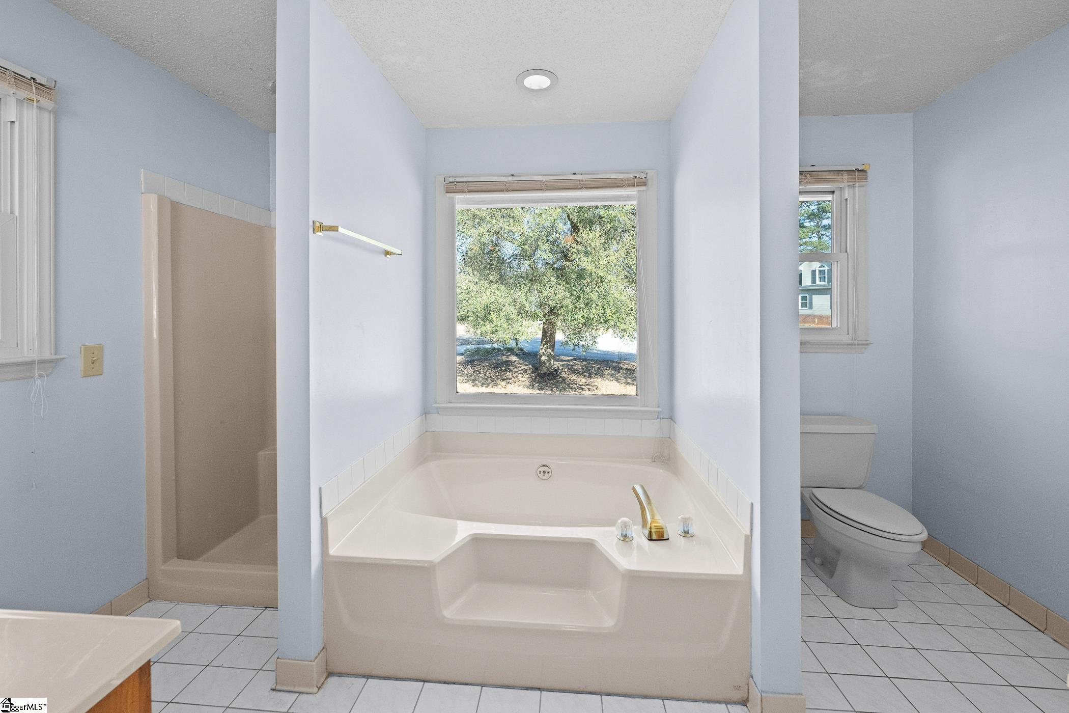 1 Norvin Court Simpsonville, SC 29680 - Photo 23 of 31