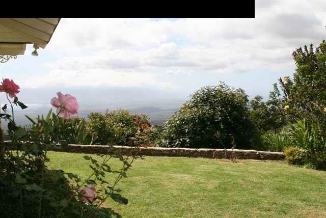 971 Polipoli Road Kula, HI 96790 - Photo 8 of 8 a view of a garden