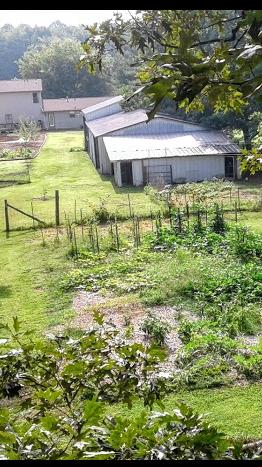 545 Old Parkers Chapel Road Portland, TN 37148 - Photo 18 of 20 Gallery Image 18