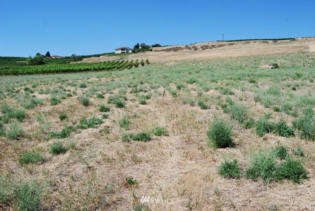 1470 Swartout Road Manson, WA 98831 - Photo 2 of 7 Gallery Image 2