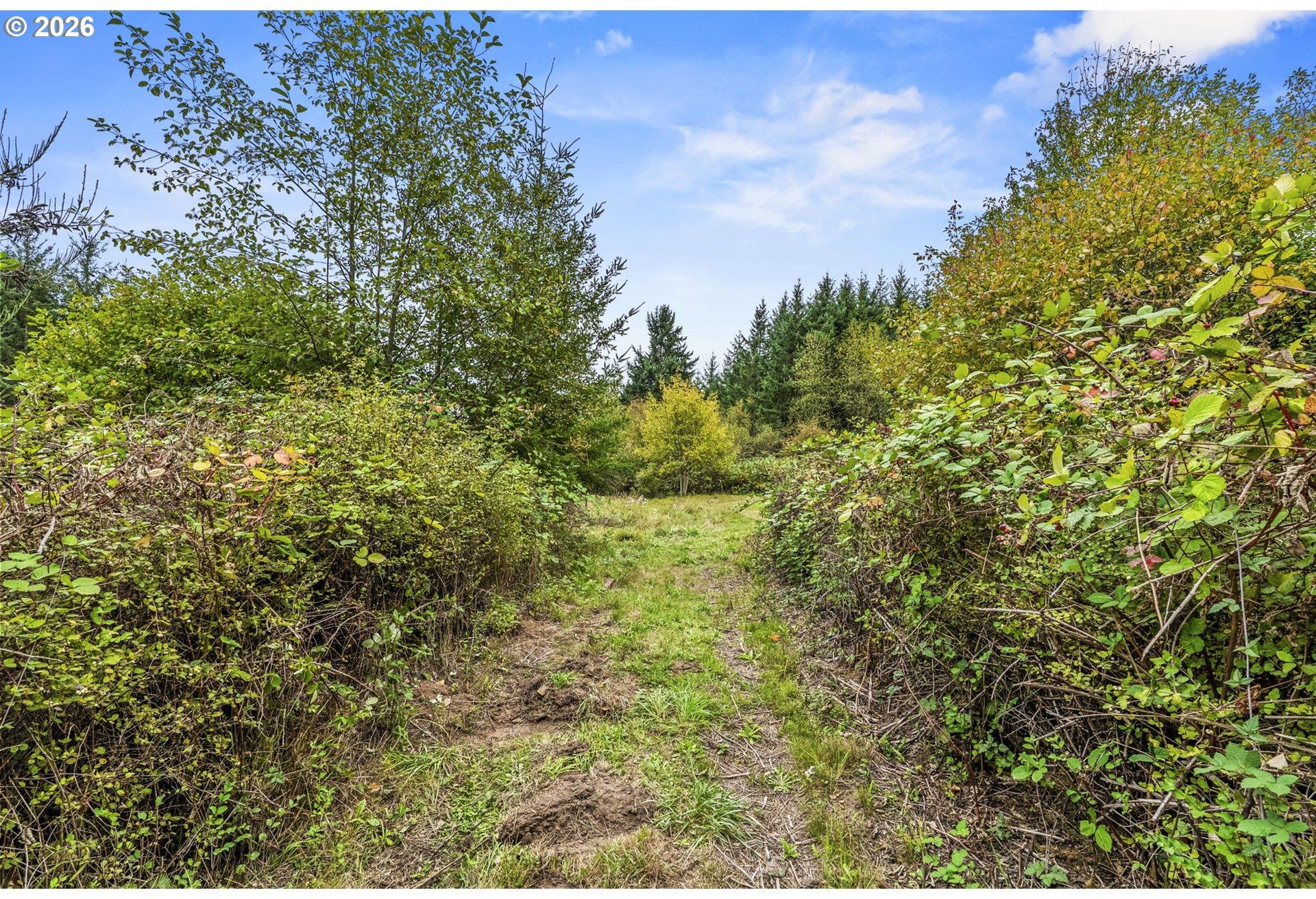69865 Walker Road Rainier, OR 97048 - Photo 18 of 36 Gallery Image 18