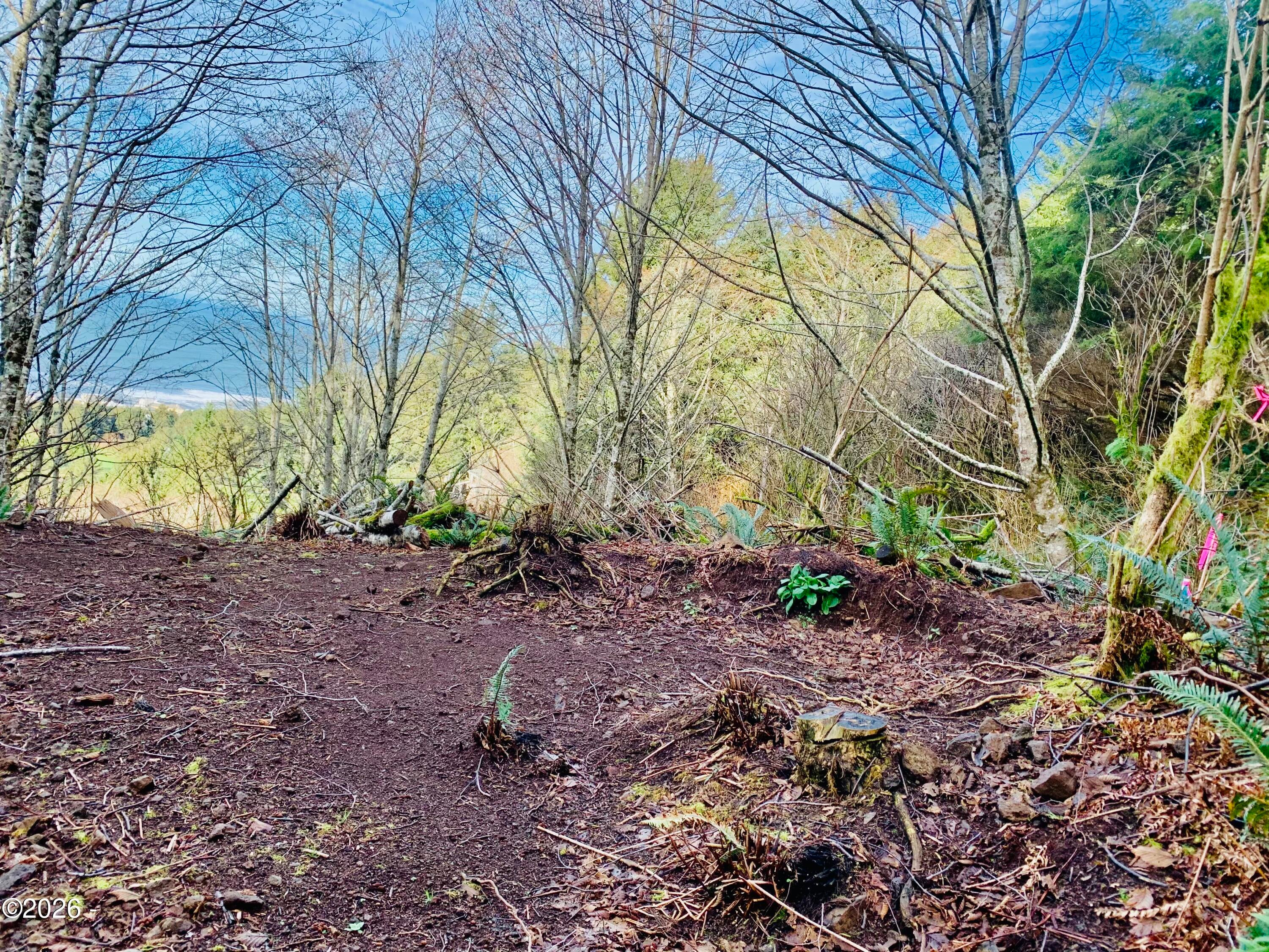 4200 Elk Mountain Road Yachats, OR 97498 - Photo 4 of 13 Gallery Image 4