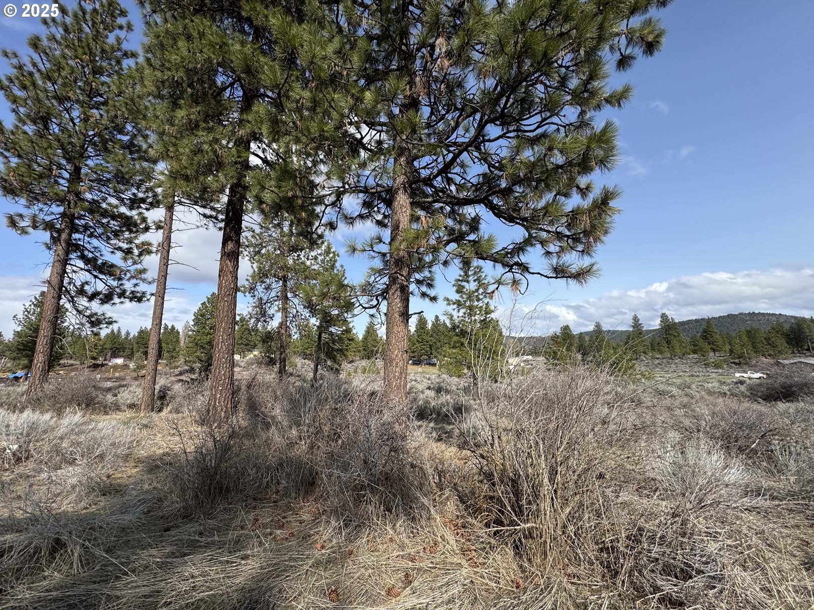 Copperfield Drive, Unit 5 Chiloquin, OR 97624 - Photo 14 of 22