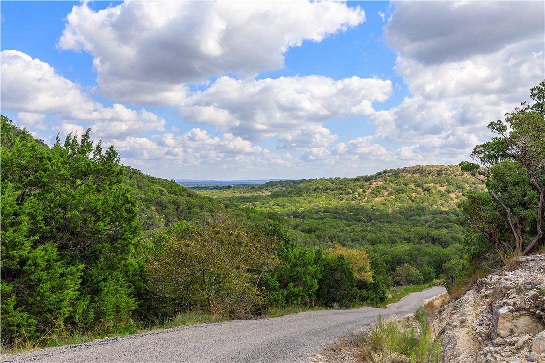 0 Brushy Ridge Trail Blanco, TX 78606 - Photo 14 of 27 a view of a city and a lot of trees