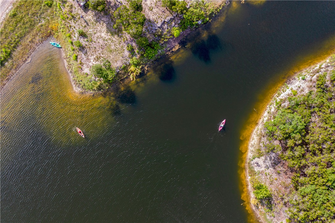 0 Brushy Ridge Trail Blanco, TX 78606 - Photo 7 of 27 a close up of a flower in a garden