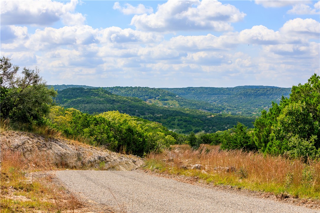 0 Brushy Ridge Trail Blanco, TX 78606 - Photo 9 of 27 a view of a garden with mountains in the background