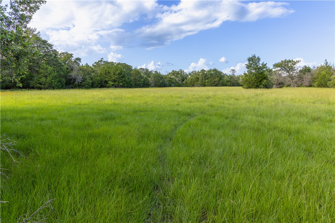 10102 Ferrill Creek Road Bryan, TX 77808 - Photo 27 of 29
