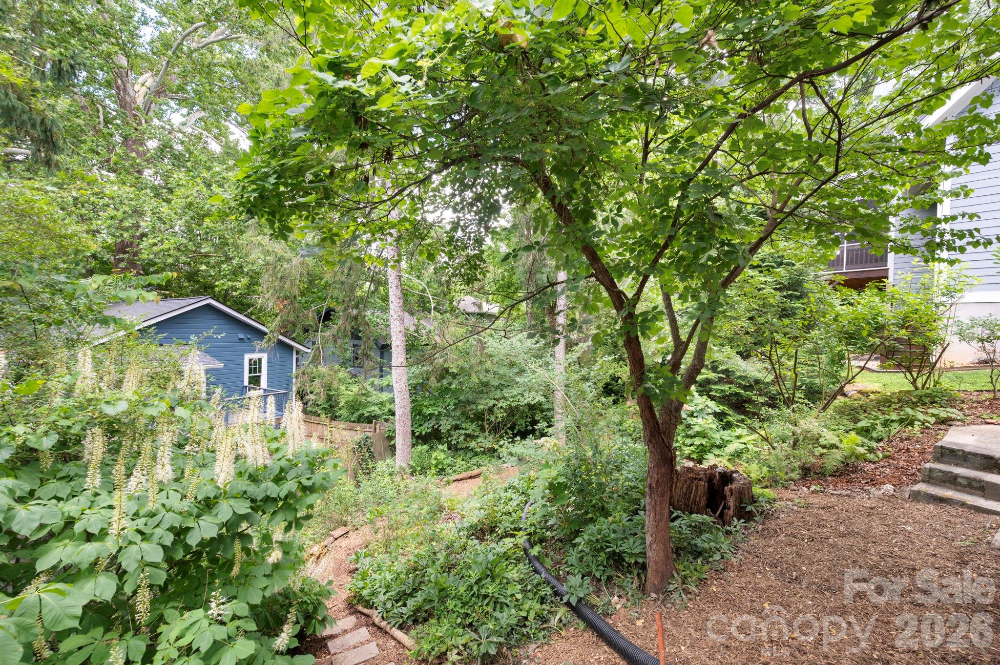 28 Chatham Road Asheville, NC 28804 - Photo 27 of 33