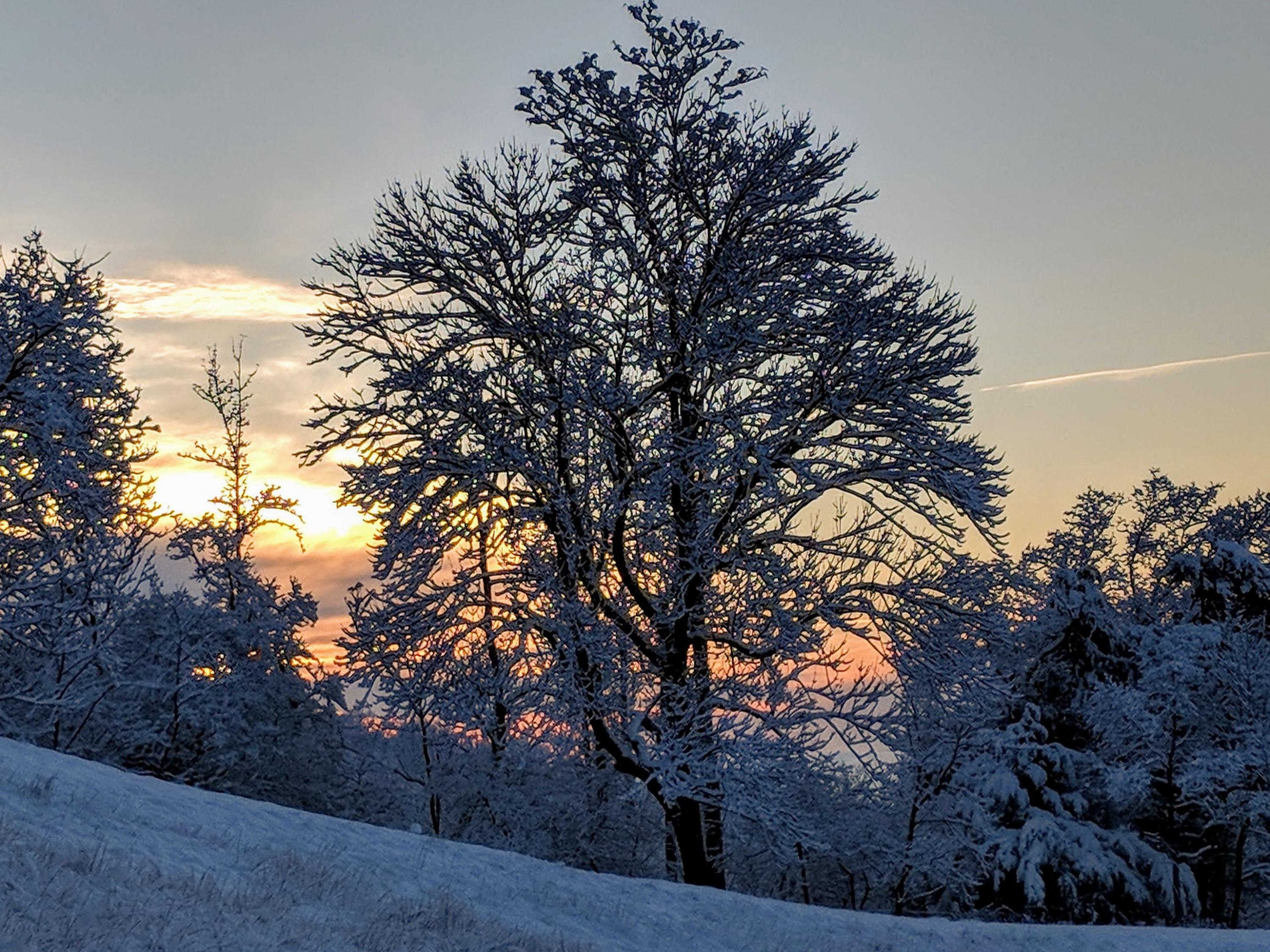 6975 Stoney Point Road Roanoke, VA 24018 - Photo 51 of 62 51.Winter Sunrise