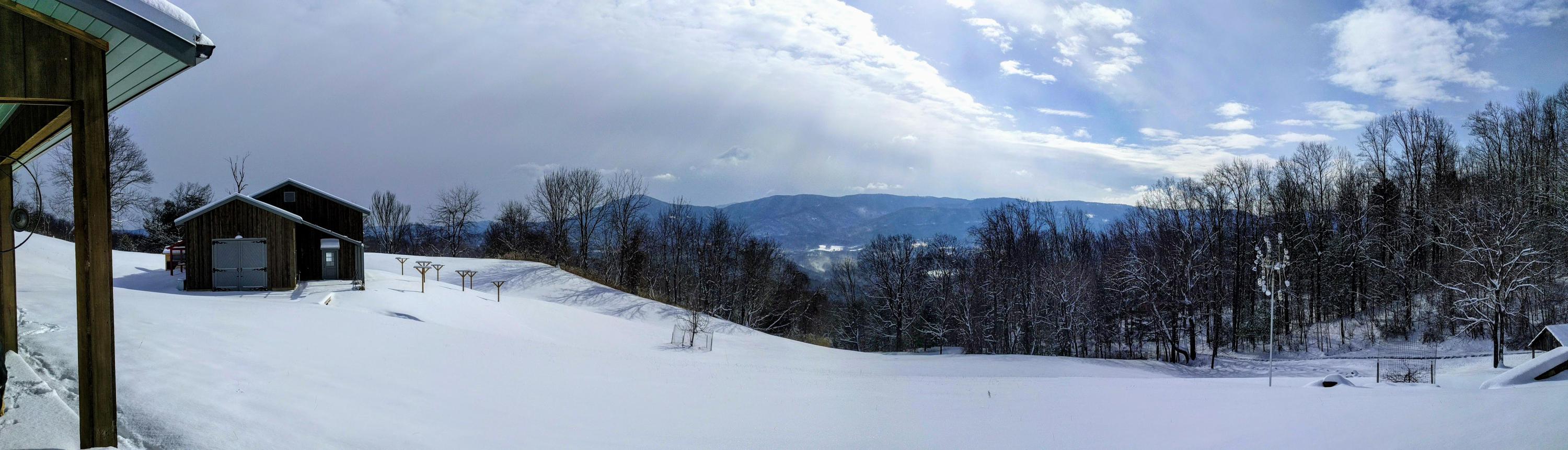 6975 Stoney Point Road Roanoke, VA 24018 - Photo 53 of 62 53.Winter View