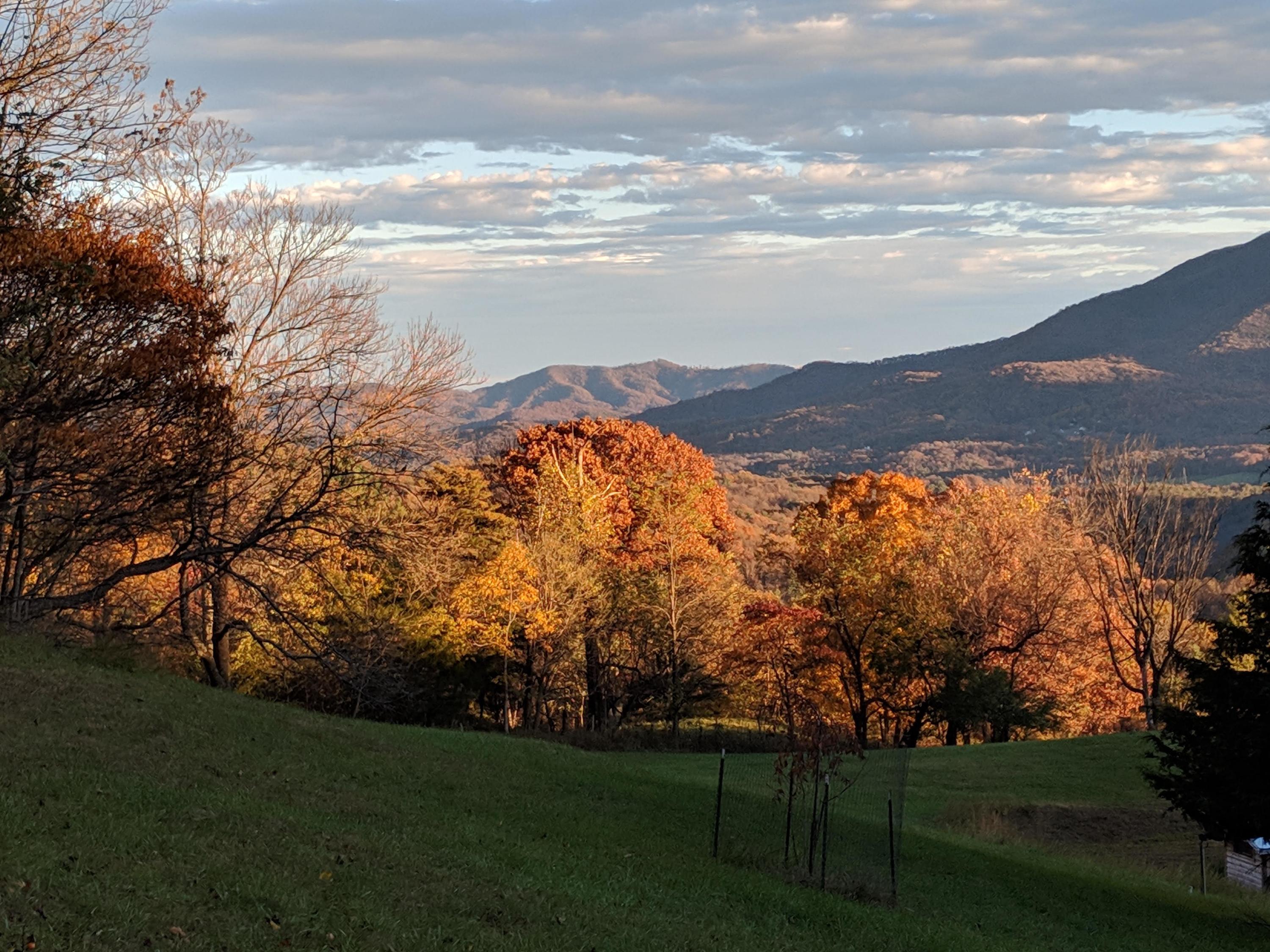 6975 Stoney Point Road Roanoke, VA 24018 - Photo 57 of 62 57.Fall View