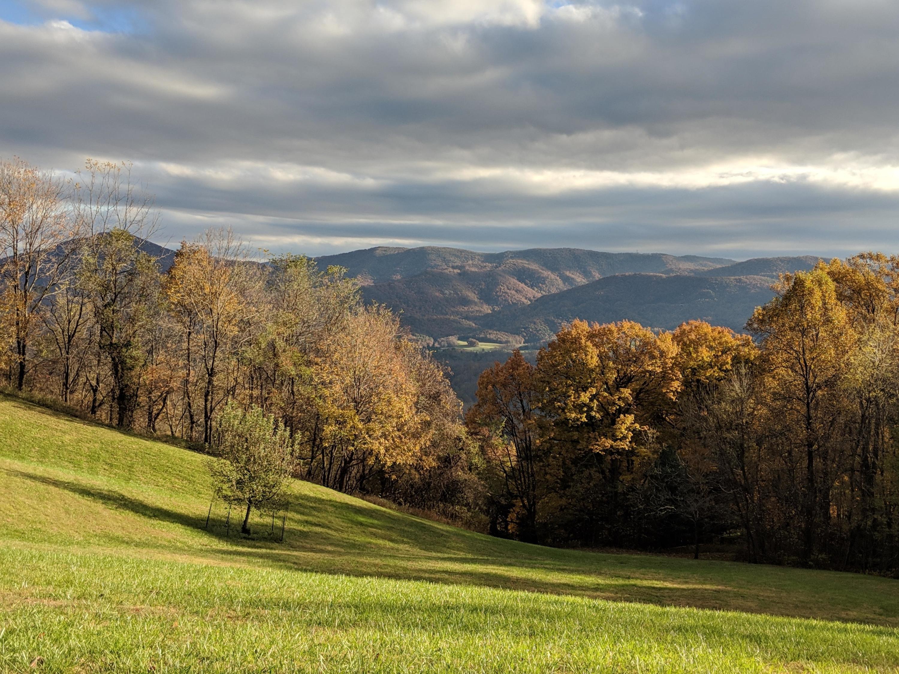6975 Stoney Point Road Roanoke, VA 24018 - Photo 58 of 62 58.Fall View