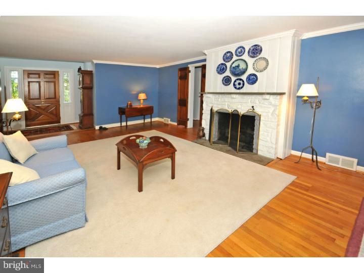 Gallery Image 7