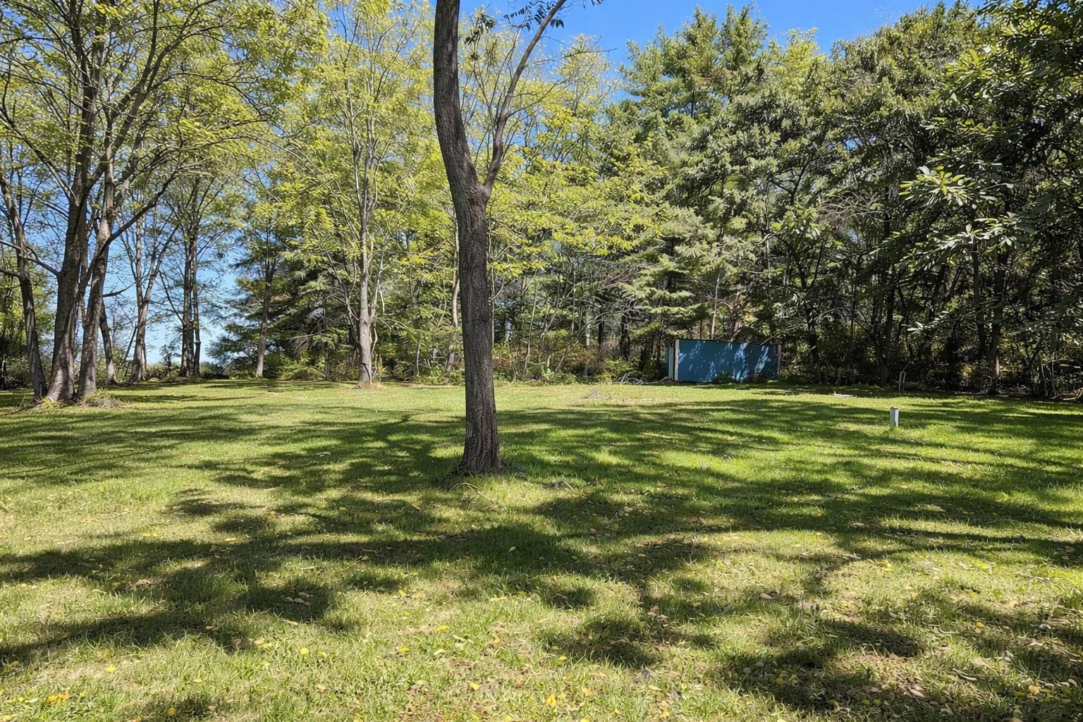 151 Steeles Lane Raphine, VA 24472 - Photo 4 of 17