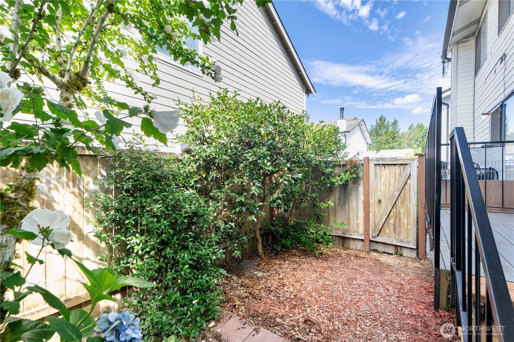 4217 Northeast 5th Street Renton, WA 98059 - Photo 24 of 24 a backyard of a house with lots of green space
