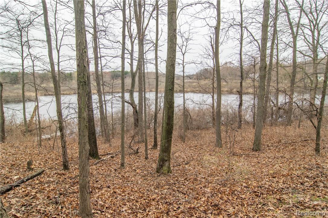 3770 Bauer Road Brighton, MI 48116 - Photo 9 of 46 _DSC0010.jpg