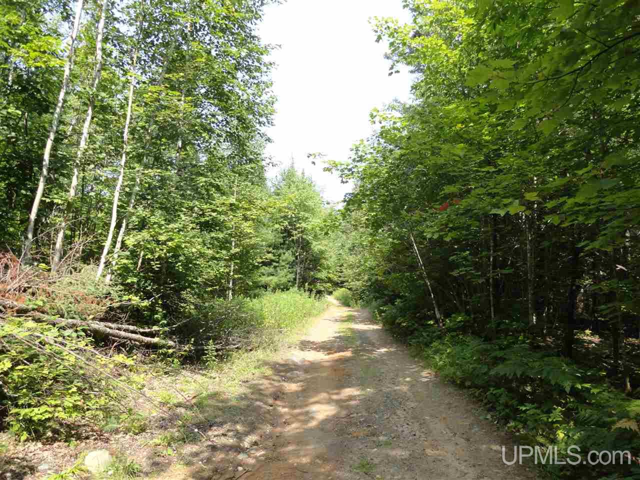 40-acres 40-acres Co Road Ishpeming, MI 49849 - Photo 27 of 36