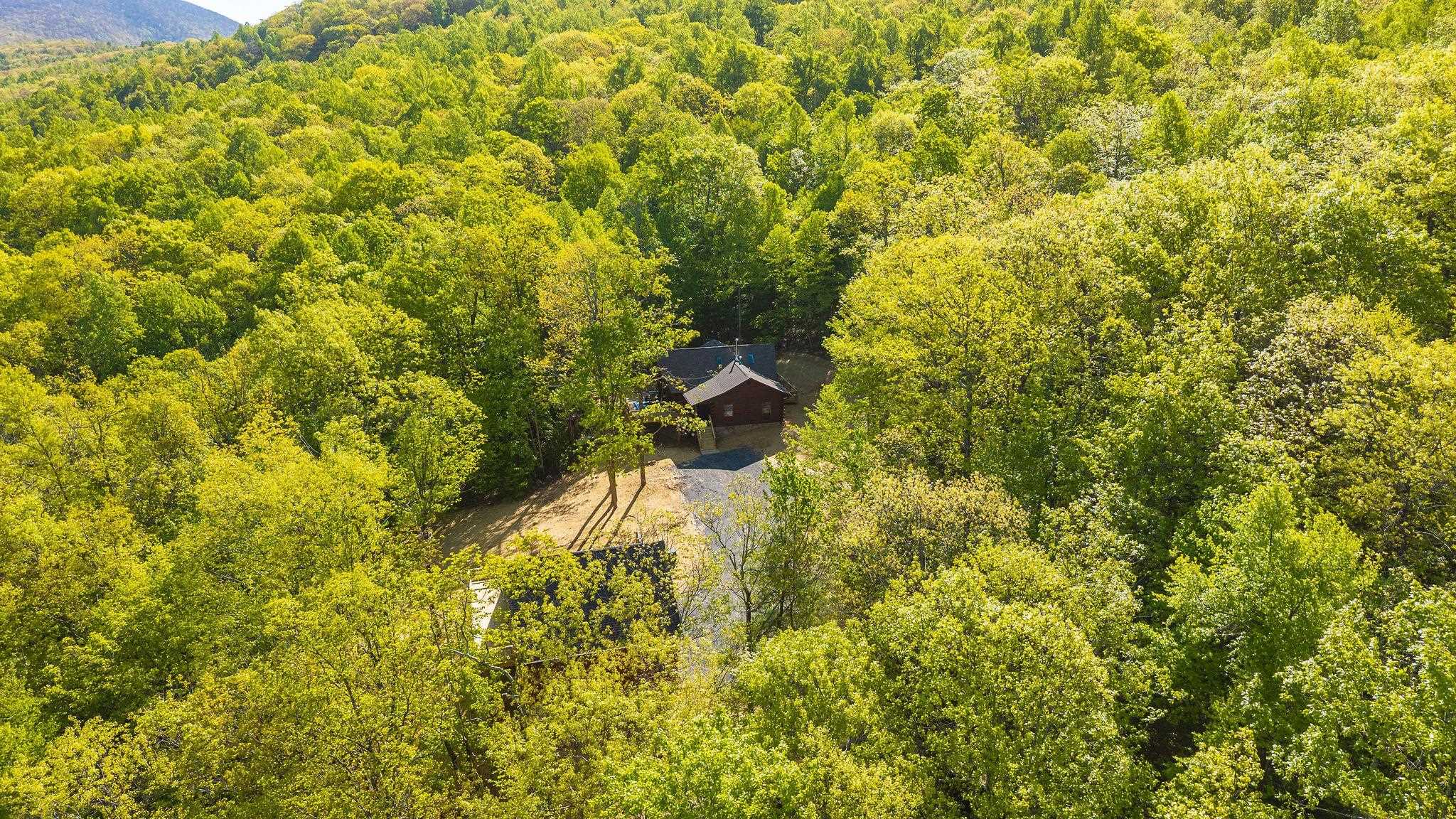 910 Love Road Lyndhurst, VA 22952 - Photo 57 of 75