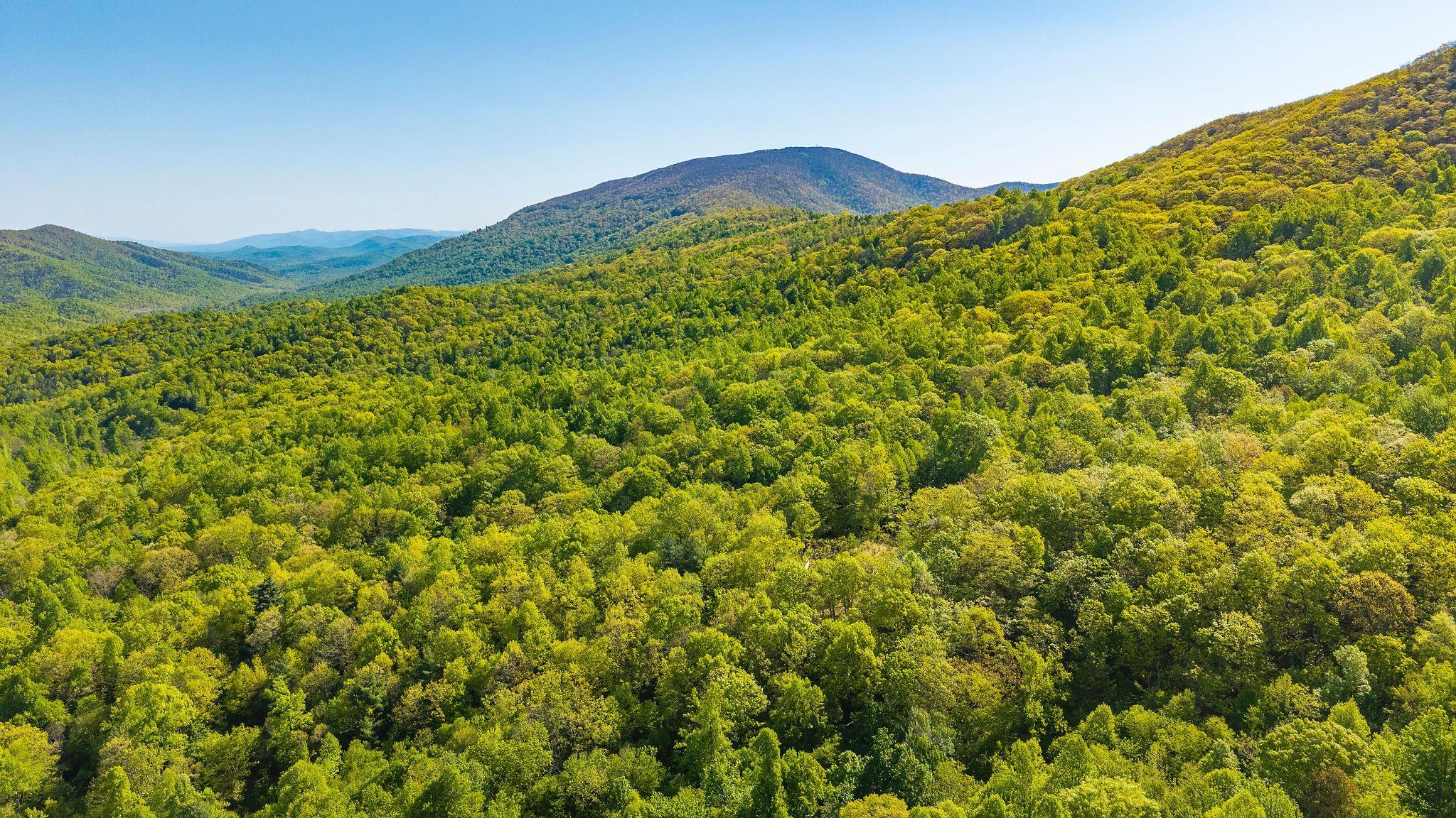 910 Love Road Lyndhurst, VA 22952 - Photo 71 of 75 a view of a mountain
