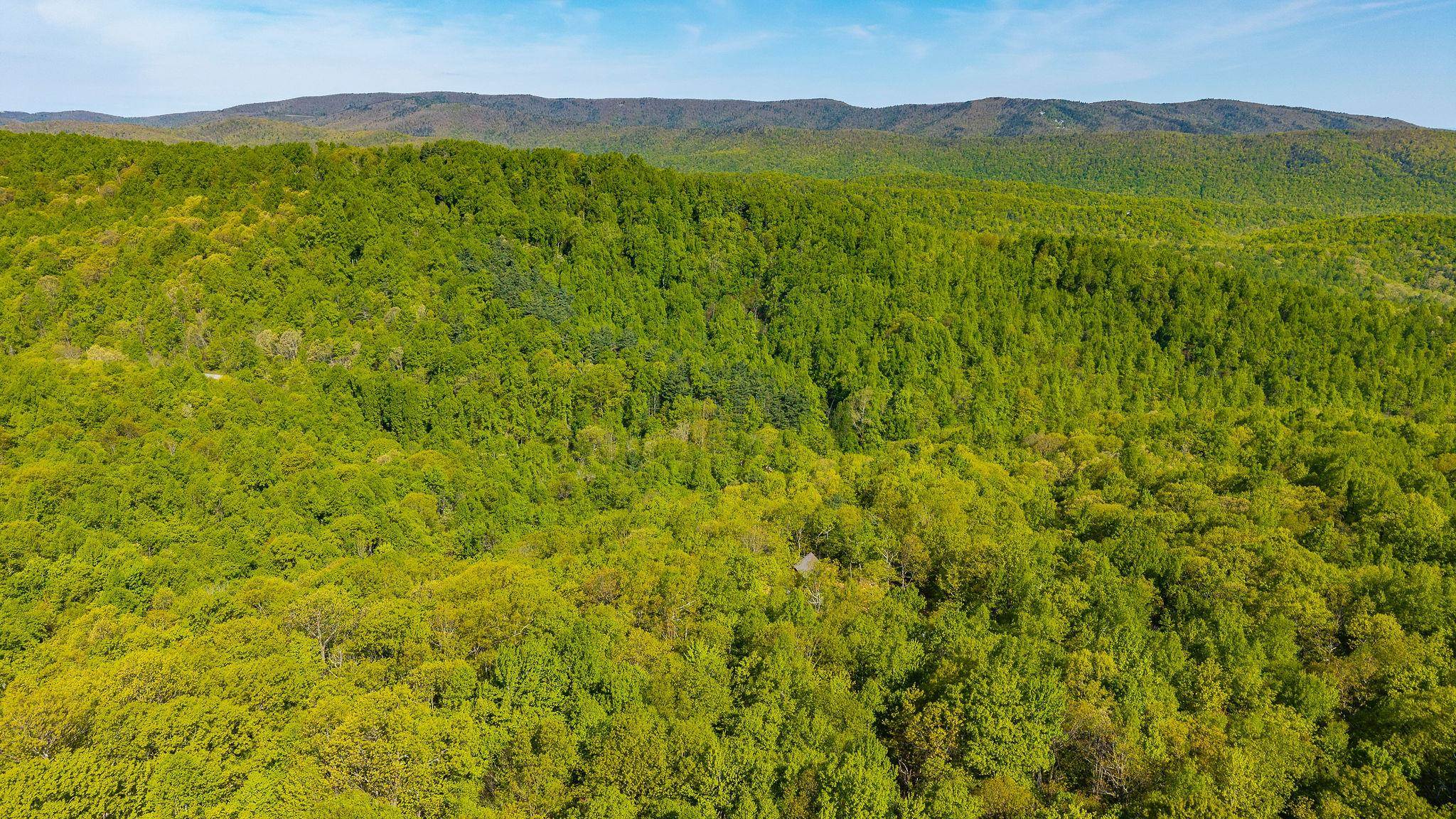 910 Love Road Lyndhurst, VA 22952 - Photo 74 of 75 a view of an lush green mountain