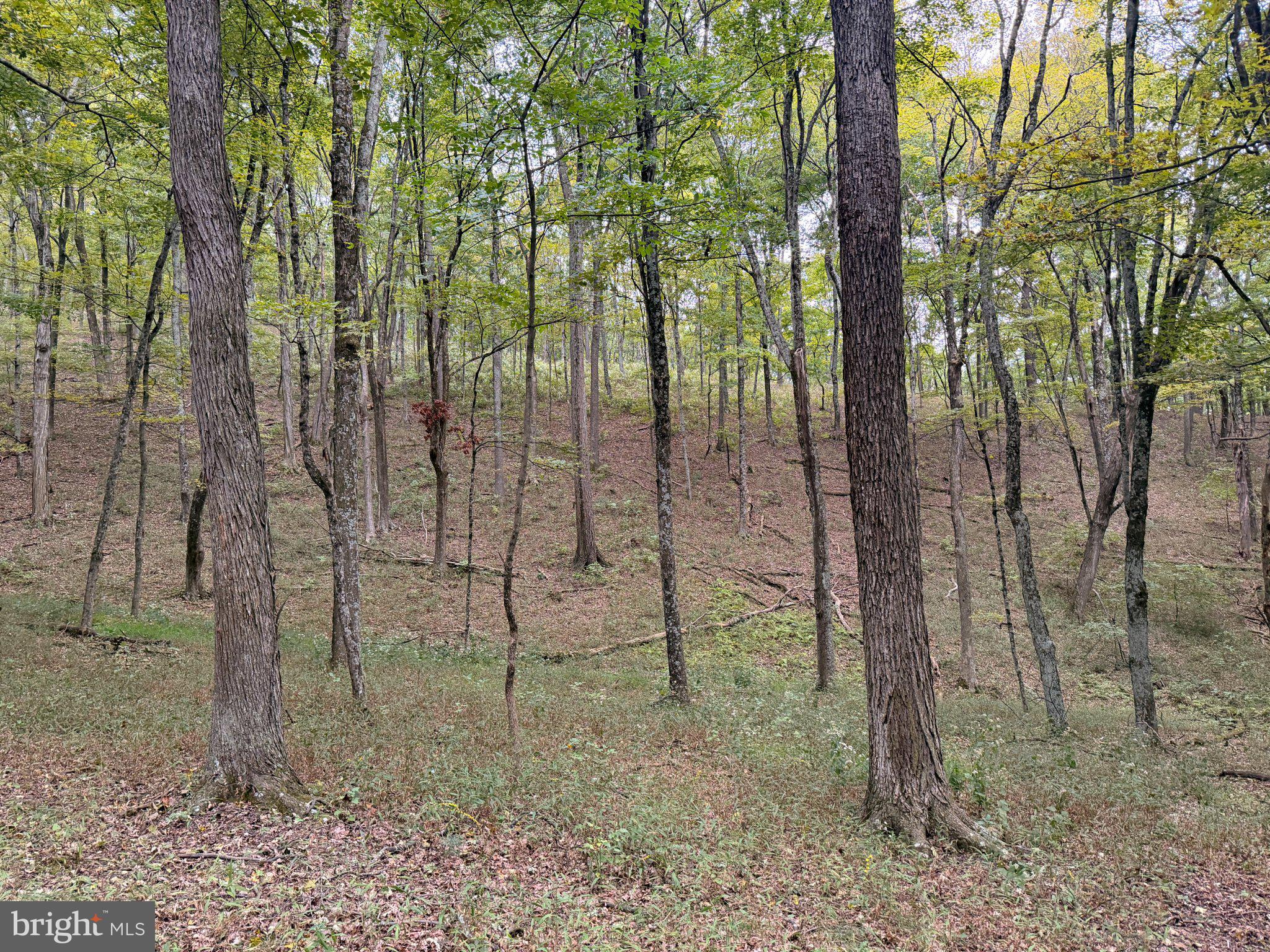 24200 East Hancock Road Flintstone, MD 21530 - Photo 102 of 126 Gallery Image 102