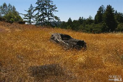 3520 Joy Road Occidental, CA 95465 - Photo 2 of 4 Gallery Image 2