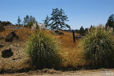 3520 Joy Road Occidental, CA 95465 - Photo 3 of 4 Gallery Image 3
