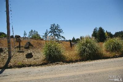 3520 Joy Road Occidental, CA 95465 - Photo 4 of 4 Gallery Image 4
