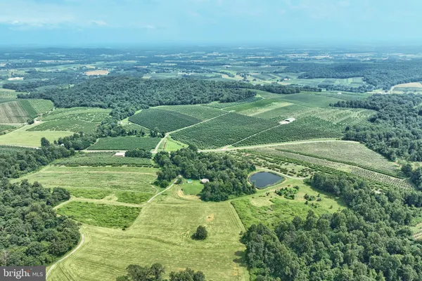 a view of a big yard with large trees