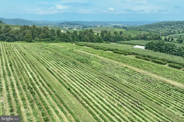 a view of a lush green field