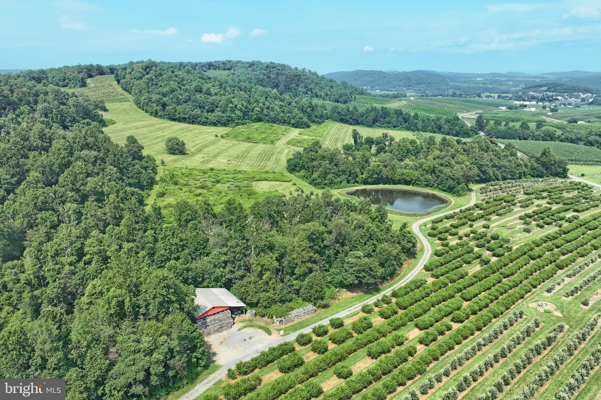 Parcel, Unit 1 & 2 Aspers, PA 17304 - Photo 5 of 9 a view of a forest with a houses