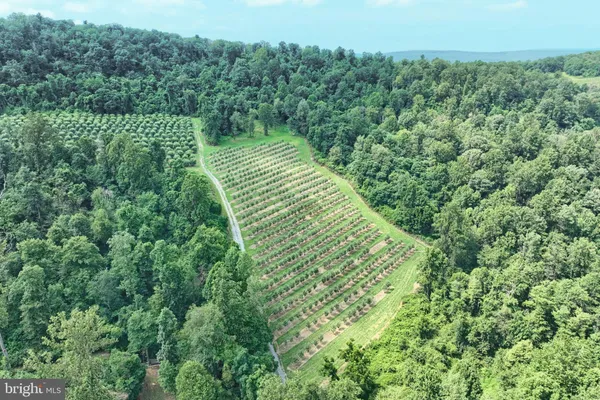a view of a green field with lots of bushes