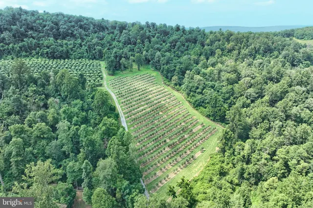 a view of a green field with lots of bushes