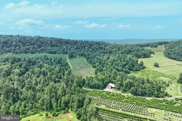 a view of a garden with an outdoor space