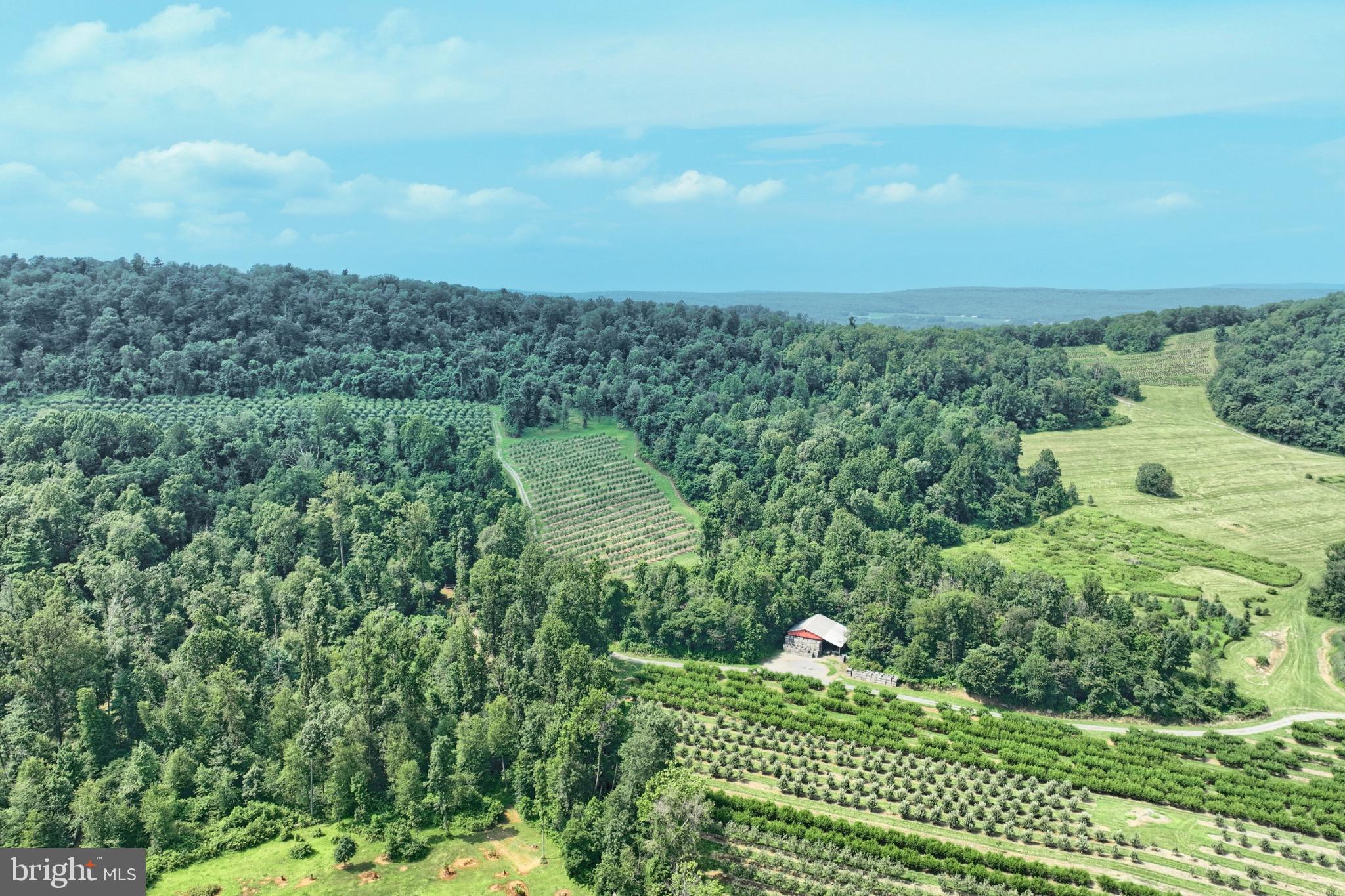 Parcel, Unit 1 & 2 Aspers, PA 17304 - Photo 7 of 9 a view of a garden with an outdoor space