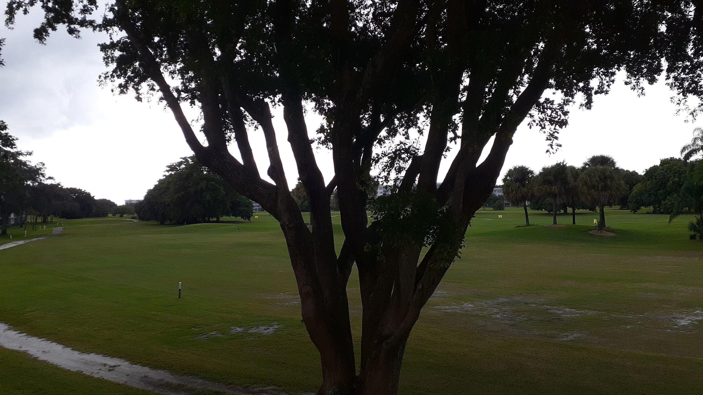 2601 South Course Drive, Unit 203 Pompano Beach, FL 33069 - Photo 30 of 33 a view of a park