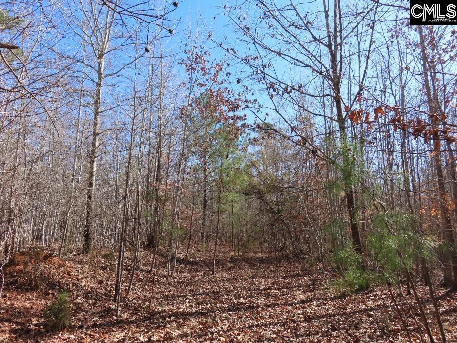 637 Cook Road Ridgeway, SC 29130 - Photo 21 of 51
