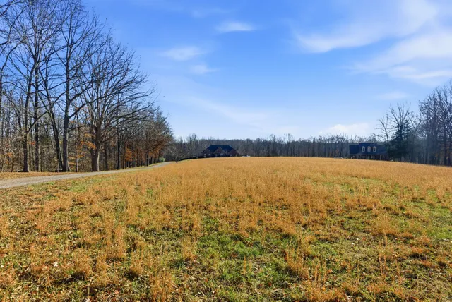 a view of a livingroom with a fireplace