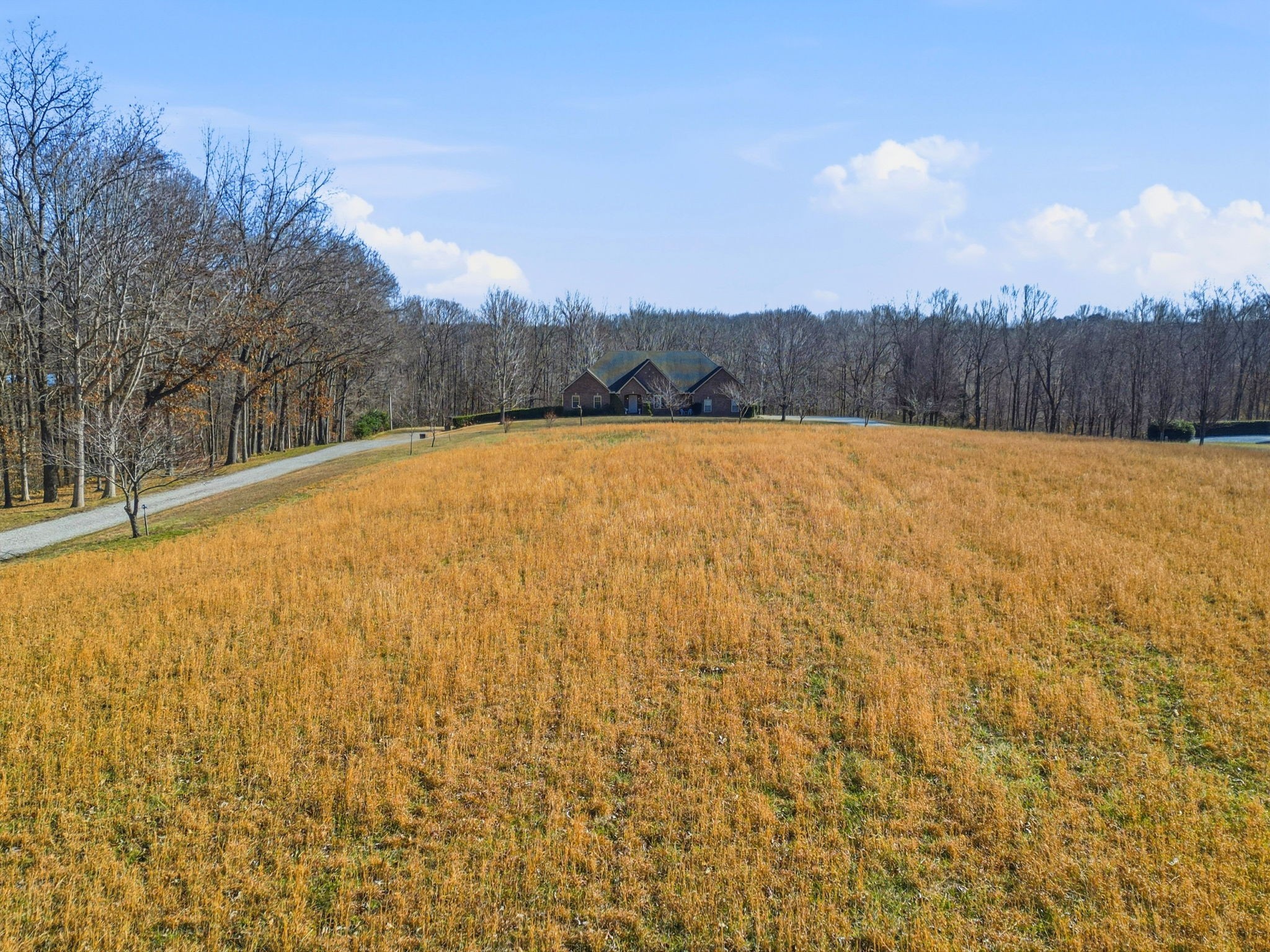 7333 Moore Road Greenbrier, TN 37073 - Photo 22 of 71
