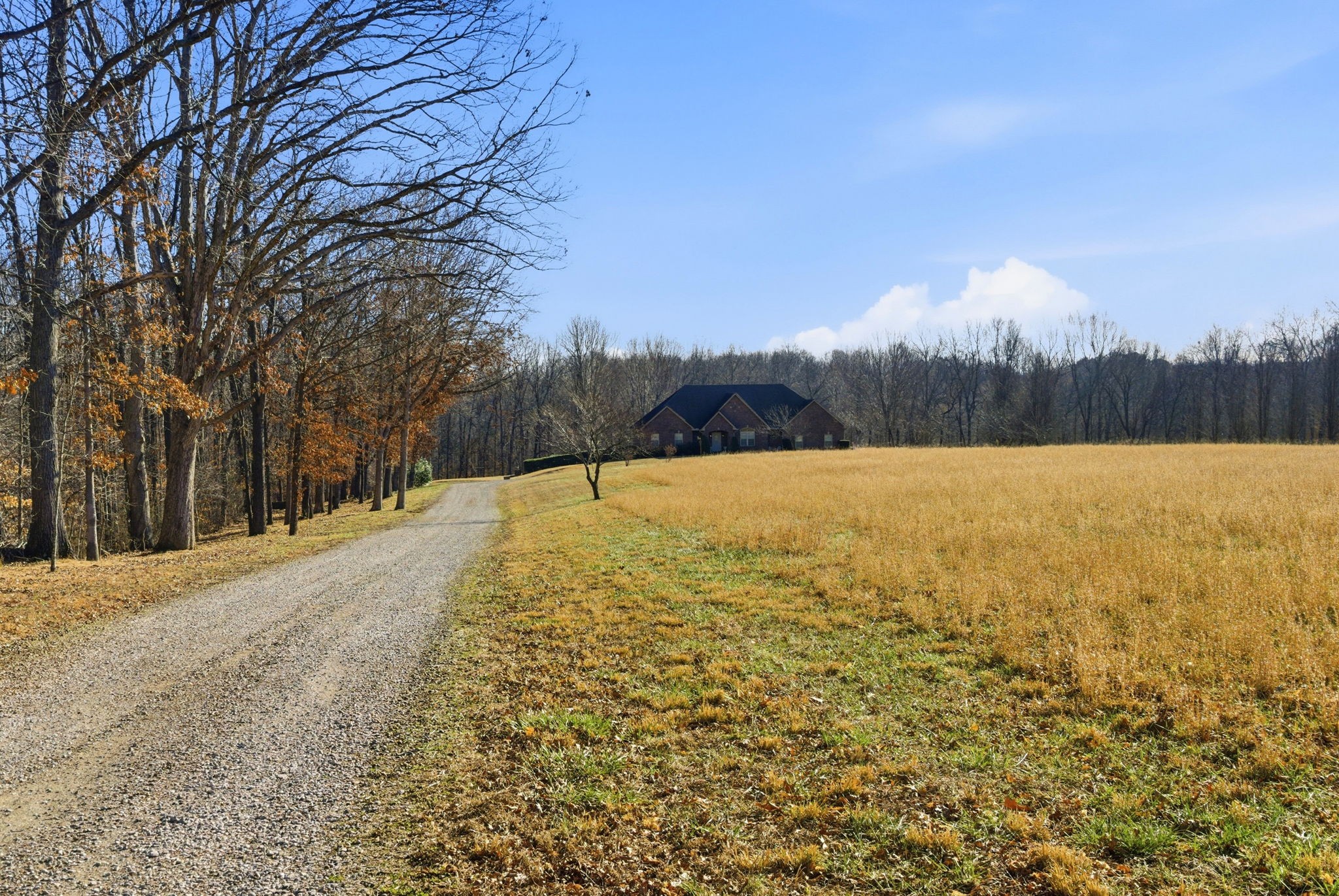7333 Moore Road Greenbrier, TN 37073 - Photo 23 of 71