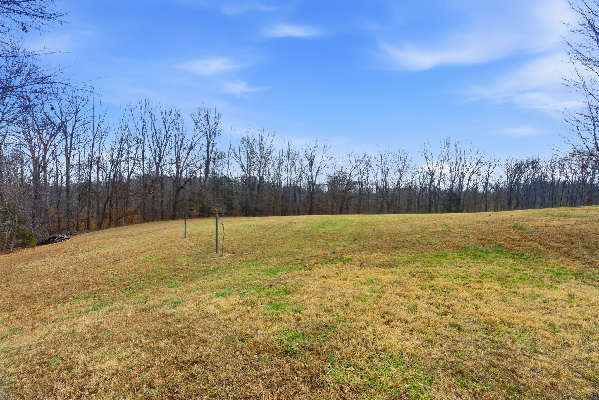 7333 Moore Road Greenbrier, TN 37073 - Photo 25 of 71