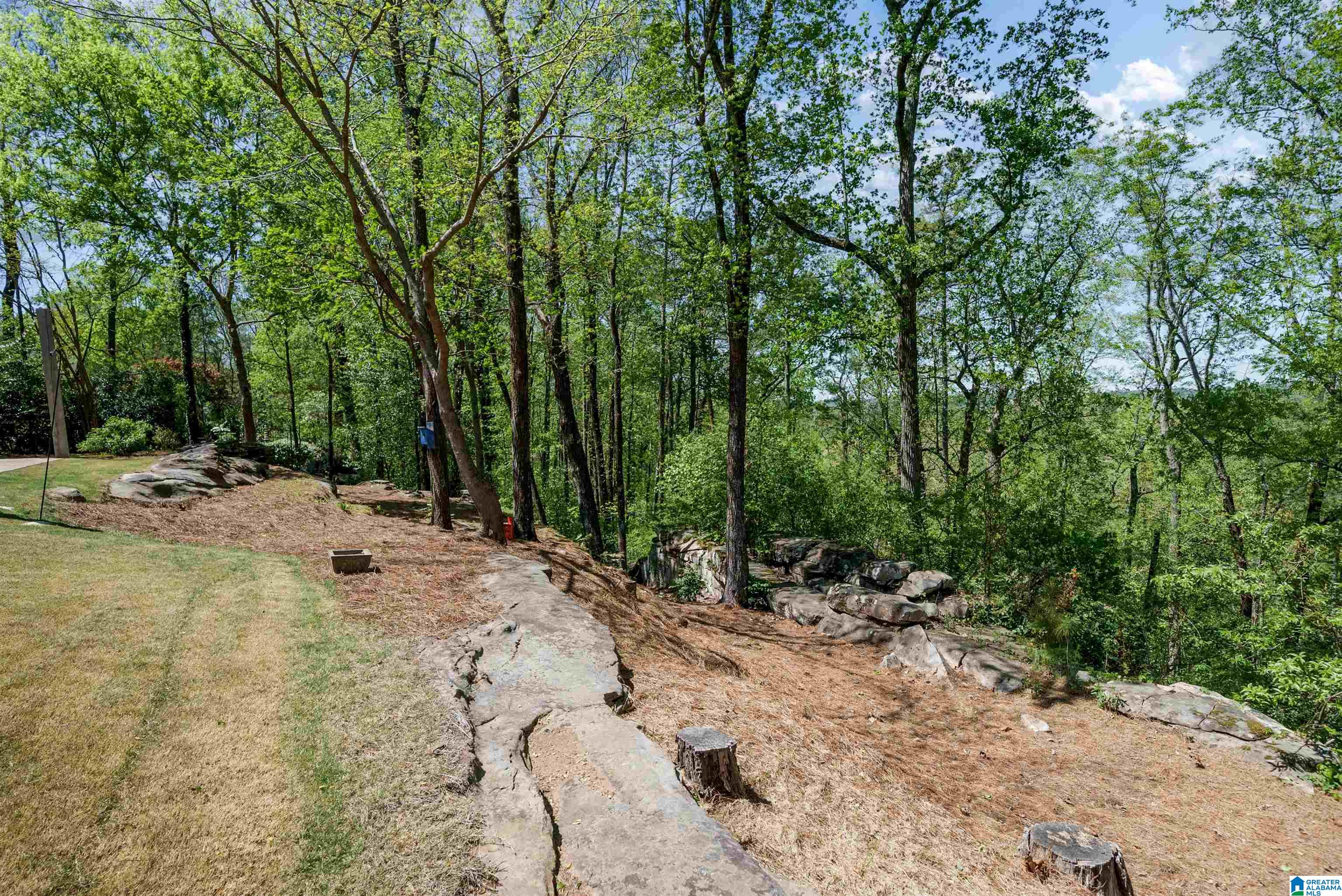 4600 Old Leeds Road Mountain Brook, AL 35213 - Photo 54 of 59 Gallery Image 54