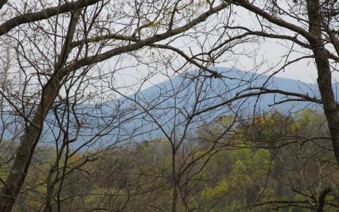 1 Burnt Ridge Road Blairsville, GA 30512 - Photo 2 of 4 Additional View