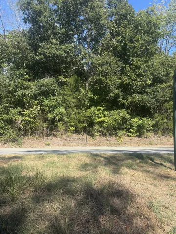 a view of a yard with a large tree