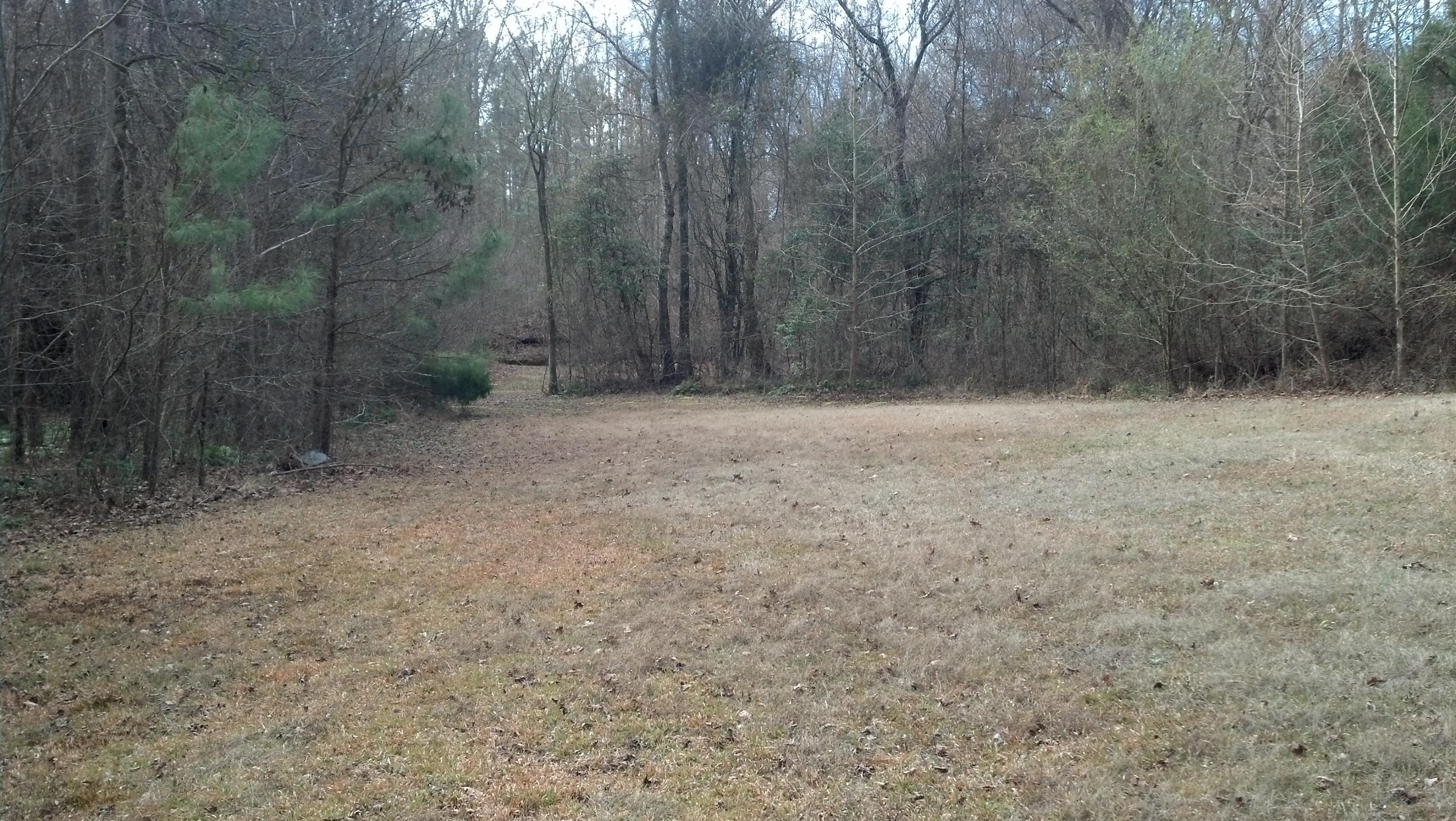 145 Old Pl Road Ellerbe, NC 28338 - Photo 1 of 1 Land