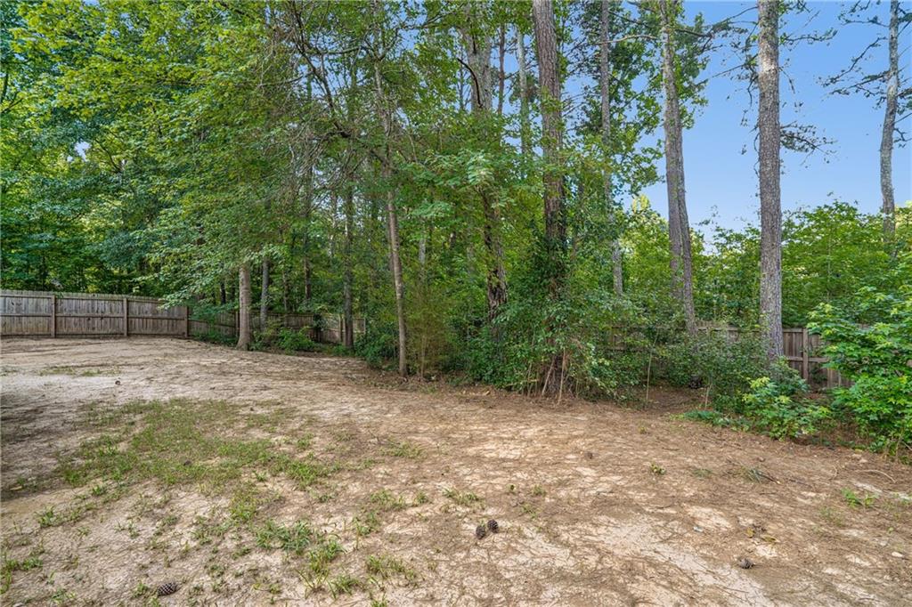 301 Madeline Way Temple, GA 30179 - Photo 23 of 29