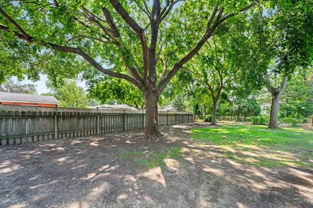 a view of a yard with large trees and a barn in it