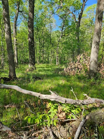 $49,900 | Tbd Lot 49-blk 1 Tbd Drive, Breezy Point, MN 56472