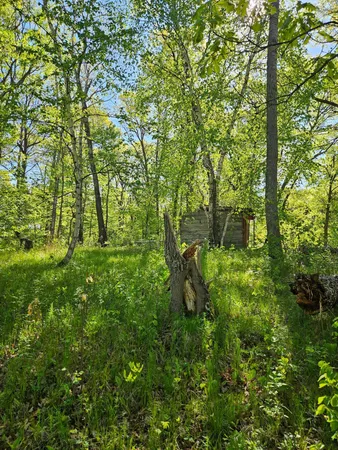 $49,900 | Tbd Lot 49-blk 1 Tbd Drive, Breezy Point, MN 56472